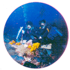 Deep Water View